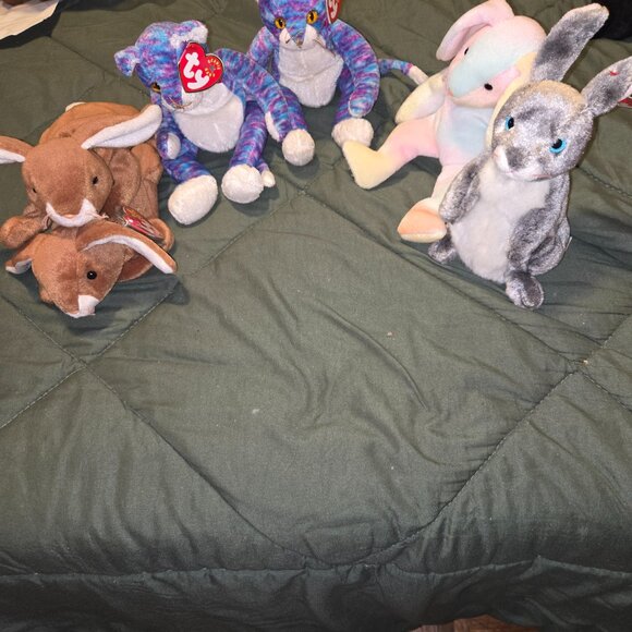 Collection of Beanie Babie - Picture 7 of 16